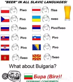 some-bulgarian-memes-v0-awwzrghxi01b1.jpg