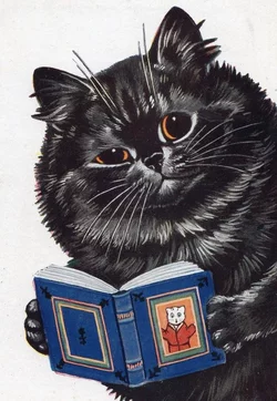 cat03.jpg