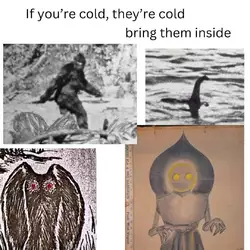 1735431739195.jpeg