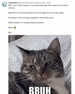 1735435504695.png