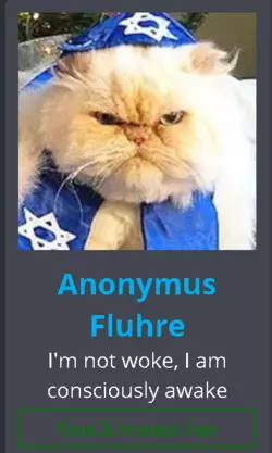 I mean.PNG