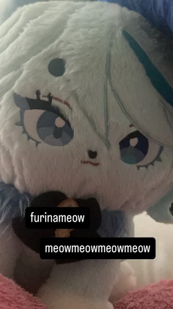 1735451763882.jpeg