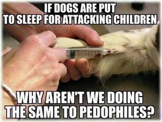 1735453494097.jpeg
