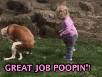 ShadyInexperiencedAlaskanmalamute-size_restricted.gif