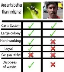 1735488191983.jpeg