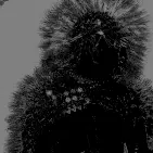 IMG_1949.png