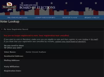 Hunter Vincent Avallone VoterPortal.png