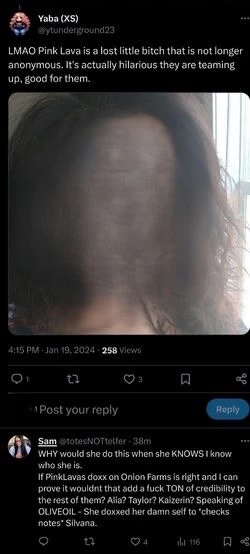 Doxxing Pink Lava aka Samah.jpg
