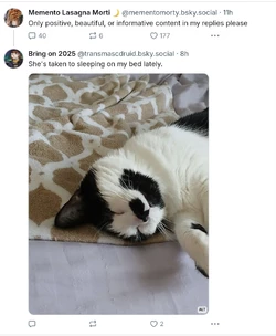 Screenshot_20241230-143714-cleaned.jpg