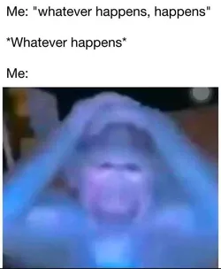 949642.jpg