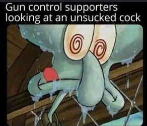 antiguns.jpg