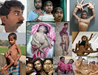 average india pajeet poo mutant.jpg