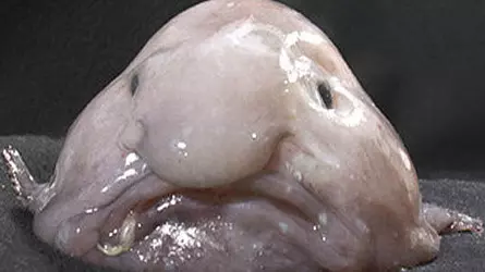 1735601990327.png