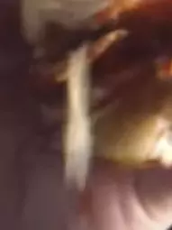 1735602381893.png
