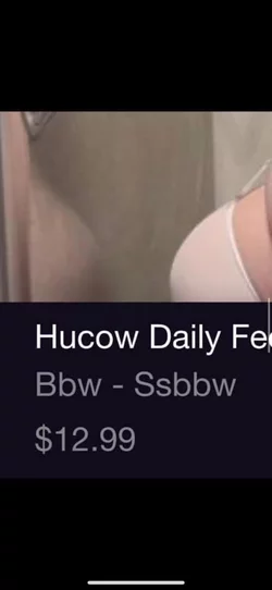 feeder 7.jpg