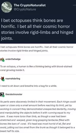 octopus.jpg