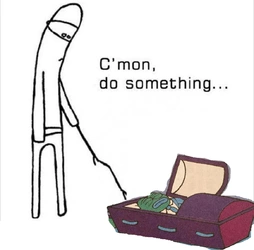 aef5qqt3qbya1.jpg