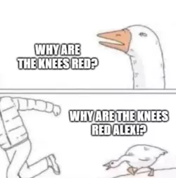 1735691958427.png