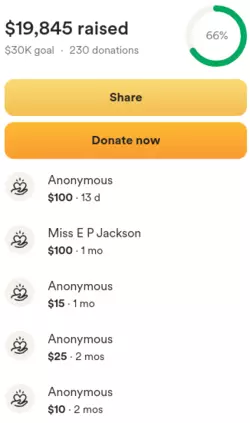gofundme.png