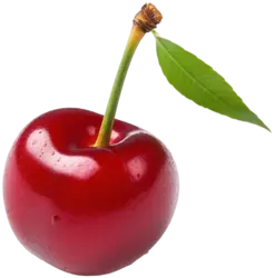 pngtree-one-cherry-berry-png-image_11477874.png