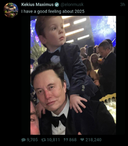 Ooookay there Elon.jpg