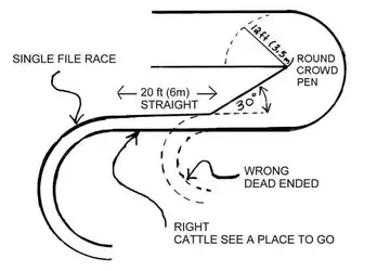 chute.ramp.race.design.jpg