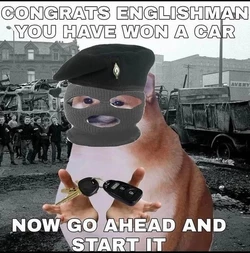 1735770363291.jpeg