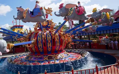 Lose You Licenses Dumbo.webp