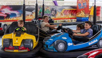 Balldo Bumper Cars.jpg