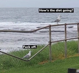 1735800288217.jpeg