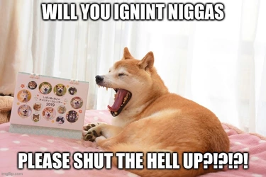 doge-will-you-ignint-niggas-please-shut-the-hell-up.jpg