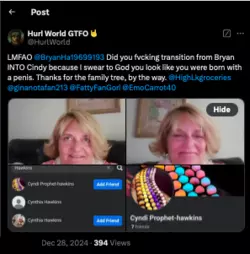 2024_12_28_(8)_Did you fucking transition.png 2024_12_28_(8)_Did you fucking transition.png