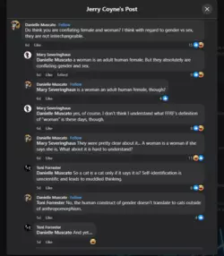 Screenshot 2025-01-02 110715.png