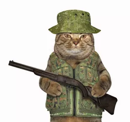 cat-ranger-with-a-rifle.jpg
