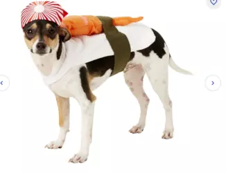 brave_15102023_222303.png