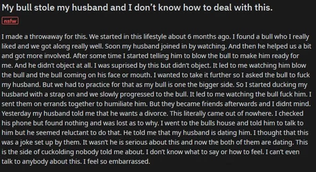 mybull.jpg