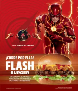Carls-Jr-Flash-Burger-245.jpg