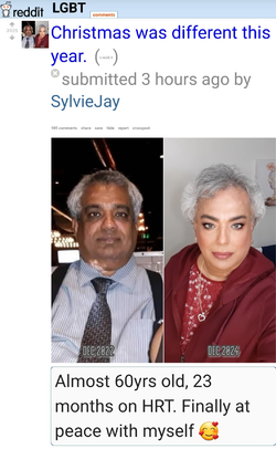 I AM THE BOBS AND VAGENE.jpg