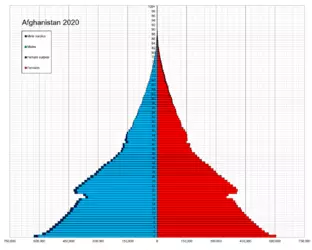 Afghanistan_single_age_population_pyramid_2020.png