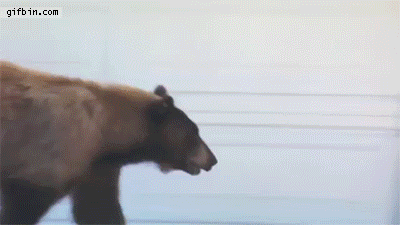 Man&Bear.gif