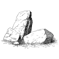 1736023520142.gif