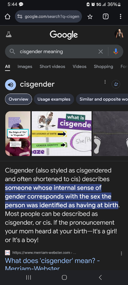 Screenshot_20250104_174431_Chrome.jpg