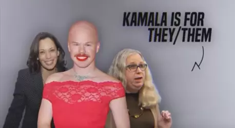 1736036654417.png