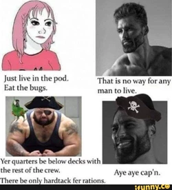 1736037166987.jpeg