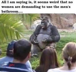 1736053099254.jpeg