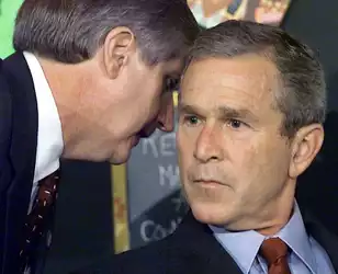 bush.jpeg