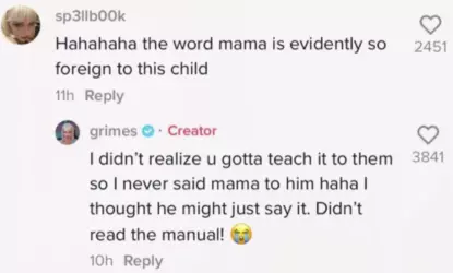 bad parent.png bad parent.png