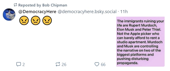 illegals.jpg