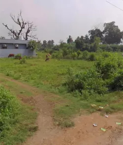 india.png
