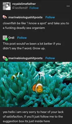 1736096053347.png